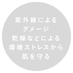 紫外線によるダメージ　乾燥などによる環境ストレスから肌を守る